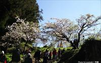 「阿里山森林遊樂區」主要建物圖片