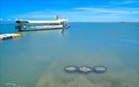 「七股潟湖」主要建物圖片