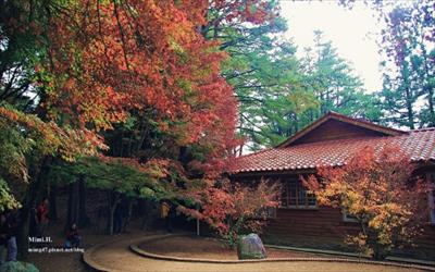 福壽山農場