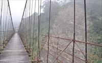 「天長地久橋」主要建物圖片