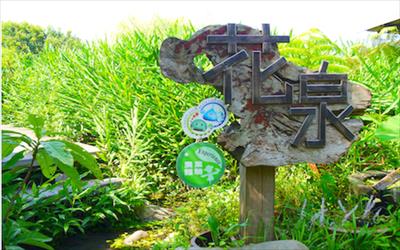 花泉休閒農場照片： CR＝「妮可」BLOG