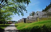「台大山地實驗農場」主要建物圖片