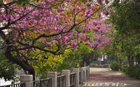「潮洋環保公園」主要建物圖片