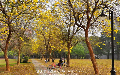 國立中正大學