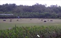 「南元花園休閒農場」主要建物圖片