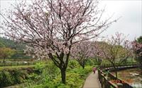 「三生步道」主要建物圖片