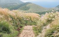 「擎天崗」主要建物圖片