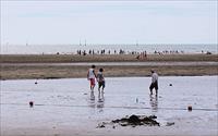 「通霄海水浴場」主要建物圖片