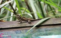 「富陽自然生態公園」主要建物圖片
