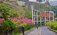 「花園新城」主要建物圖片