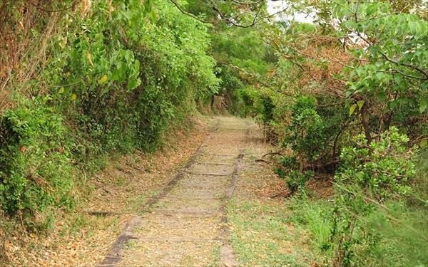 大武國家森林步道