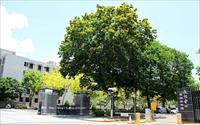 「高雄文化中心」主要建物圖片