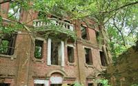 「民雄鬼屋」主要建物圖片