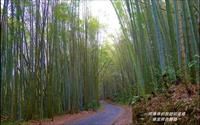 「瑞里綠色隧道」主要建物圖片