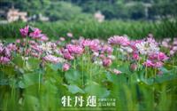 「金山清水濕地」主要建物圖片