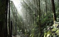 「太平山森林遊樂區」主要建物圖片