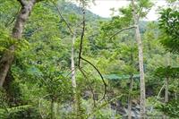 「瓦拉米古道(瓦拉鼻)」主要建物圖片