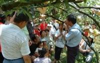 「錦普觀光果園」主要建物圖片