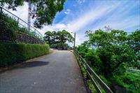 「楓林步道」主要建物圖片