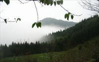 「加里山步道」主要建物圖片