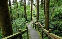 「頂石棹步道」主要建物圖片
