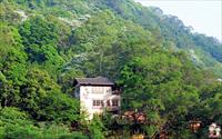 「油桐花坊」主要建物圖片