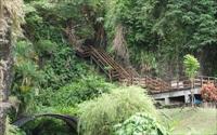 「八仙洞」主要建物圖片