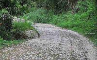 「永和山水庫」主要建物圖片