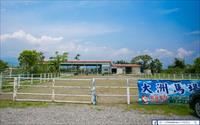 「大洲馬場」主要建物圖片