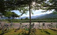 「鹿野龍田自行車道」主要建物圖片