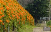 「銅鑼環保公園」主要建物圖片