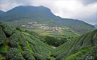 「樟樹湖高山茶茶區」主要建物圖片