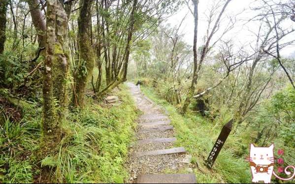 山毛櫸國家步道照片： CR=「帆帆貓」BLOG