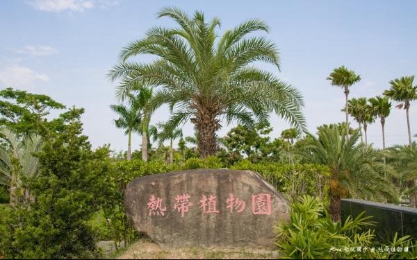 大坪頂熱帶植物園區