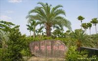 「大坪頂熱帶植物園區」主要建物圖片