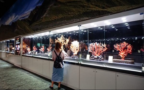 宜蘭綺麗珊瑚博物館照片： CR=「小虫」BLOG