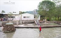 「桃米親水公園」主要建物圖片
