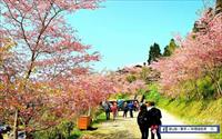 「拉拉山恩愛農場」主要建物圖片