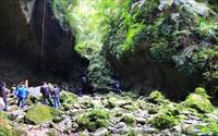 「三民蝙蝠洞」主要建物圖片
