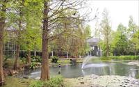「菁芳園」主要建物圖片