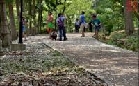 「荷苞山桐花公園」主要建物圖片