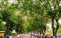 「綠色隧道景觀公園」主要建物圖片