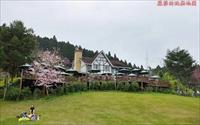 「山上人家森林農場」主要建物圖片