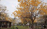 「廍子公園」主要建物圖片