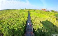 「新豐紅樹林生態保護區」主要建物圖片