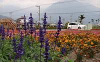 「吉安花海」主要建物圖片