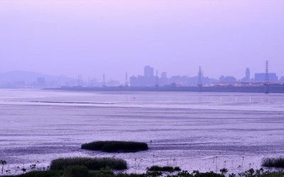 五股溼地生態園區