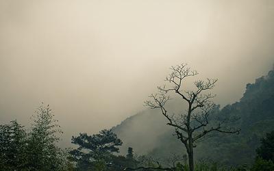 大雪山國家森林遊樂園照片： CR= 「妊性旅行」BLOG