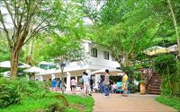 「桃李河畔」主要建物圖片