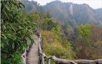 「大坑四號登山步道」主要建物圖片